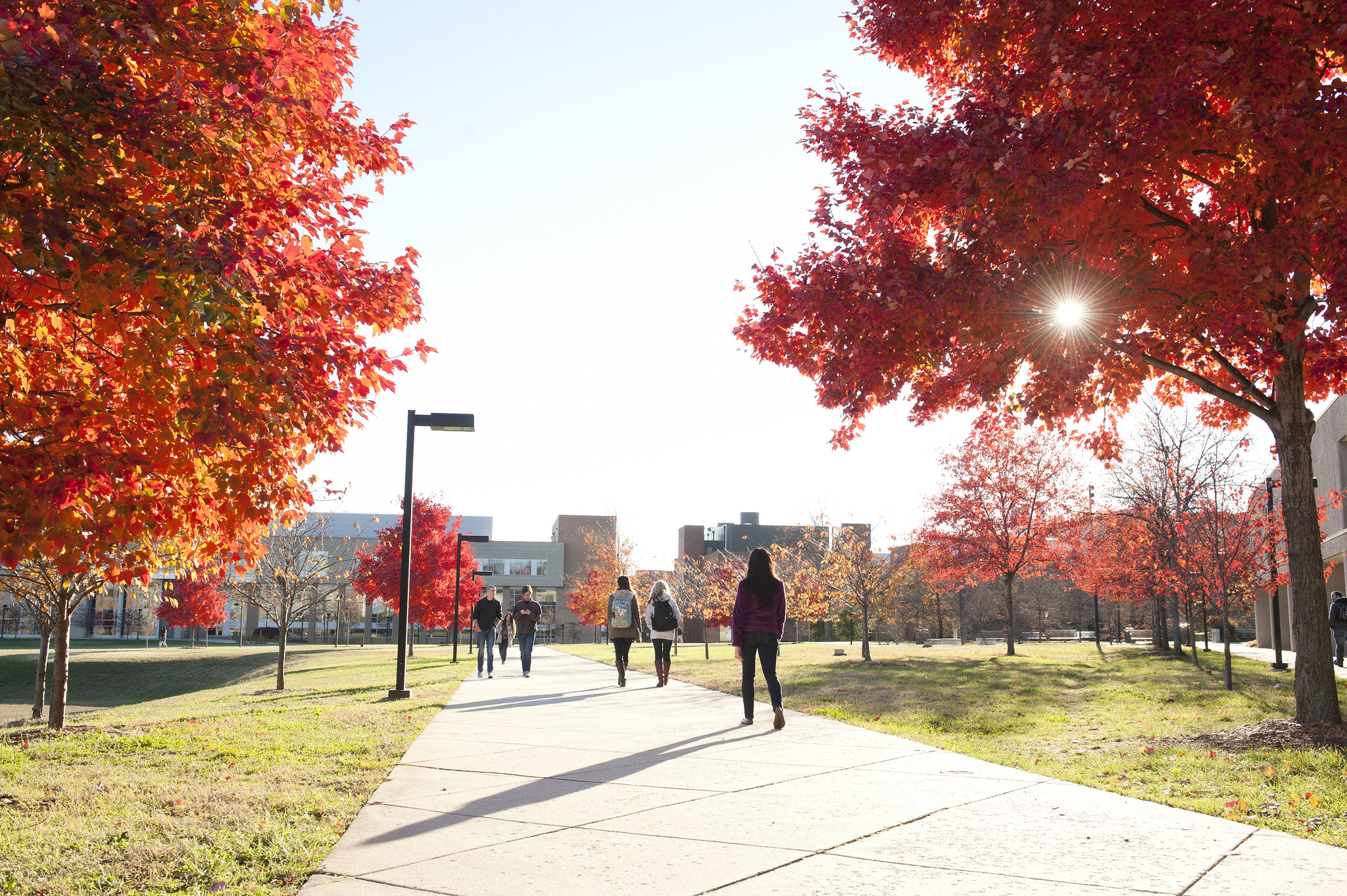 Grounds Maintenance – Facilities Management - UMBC